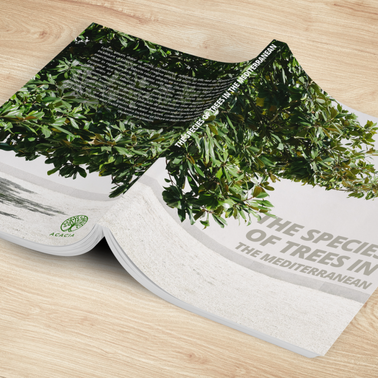 Brochure carré collé